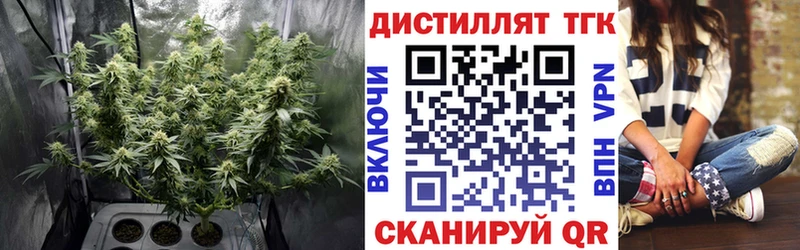 Дистиллят ТГК Wax Сасово